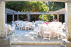 LOVE IN BLOOM AT WISTERIA HALL